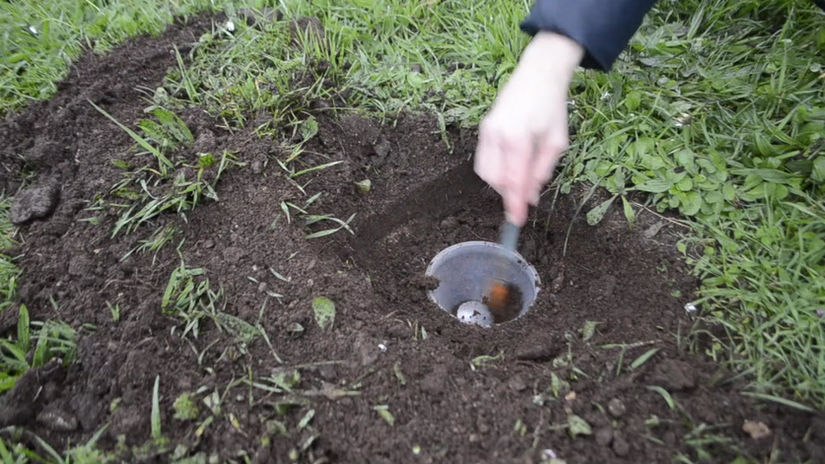 Prairie - 21 _bouchon de prairie